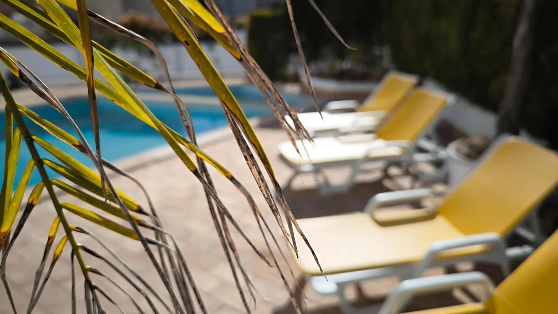 Riomar Praia Da Rocha Portimao Apartment